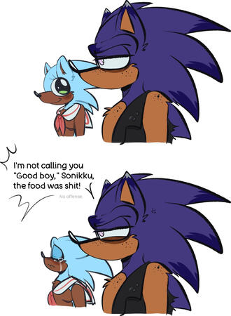 Silly Comic (Xain and Sonikku)